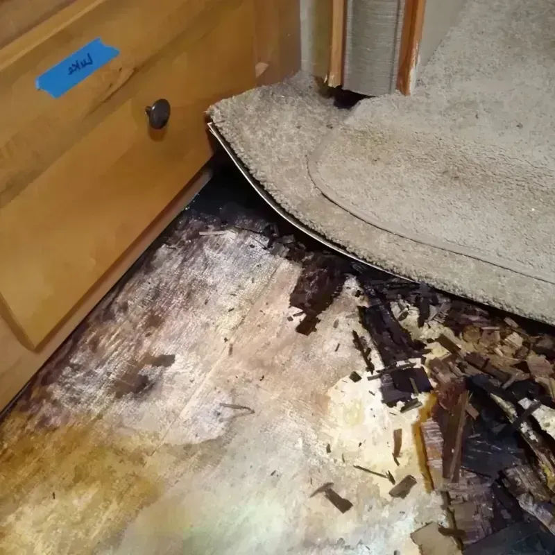 Wood Floor Water Damage in Harrison County, TX